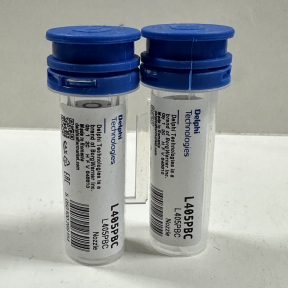L405PBC Распылитель форсунки DELPHI BEBJ1A00001, BEBJ1A00101, BEBJ1A00201, BEBJ1A00202, BEBJ1A01001, BEBJ1A01101, BEBJ1A01201, BEBJ1A05001, BEBJ1A05002, 1846419, 1905001, 1661060, 1905002, HRE295, HRE385.